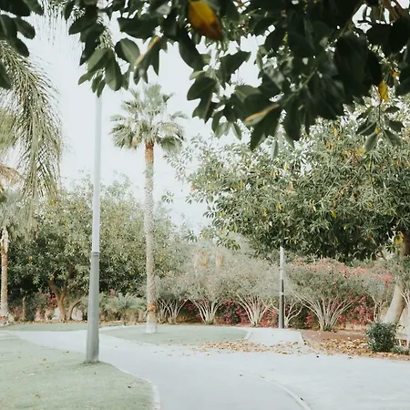 Maria פלאייה דה לאס אמריקס