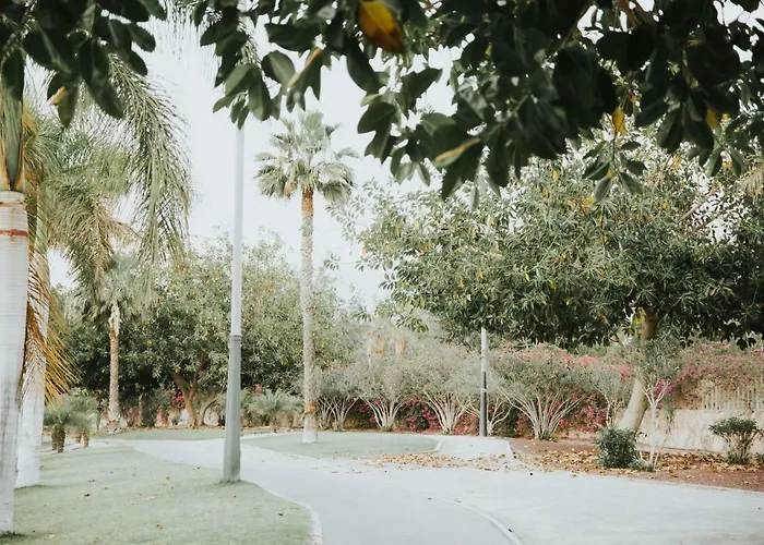 Maria Плайя-де-лас-Амерікас