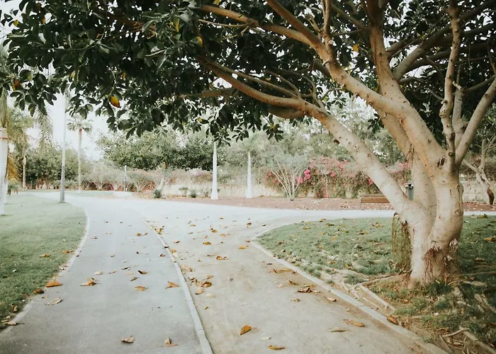Maria Плайя-де-лас-Амерікас