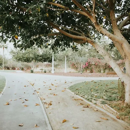 Maria Плая-де-лас-Америкас